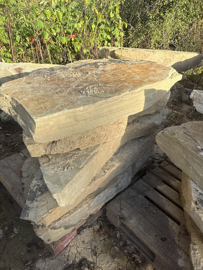 TN Buckskin Irregular Natural Steppers 4–8" ~3350 lb