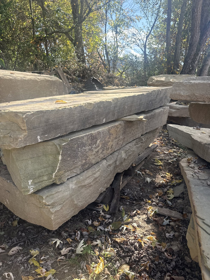 TN Buckskin Irregular Natural Steppers 4–8" ~4375 lb