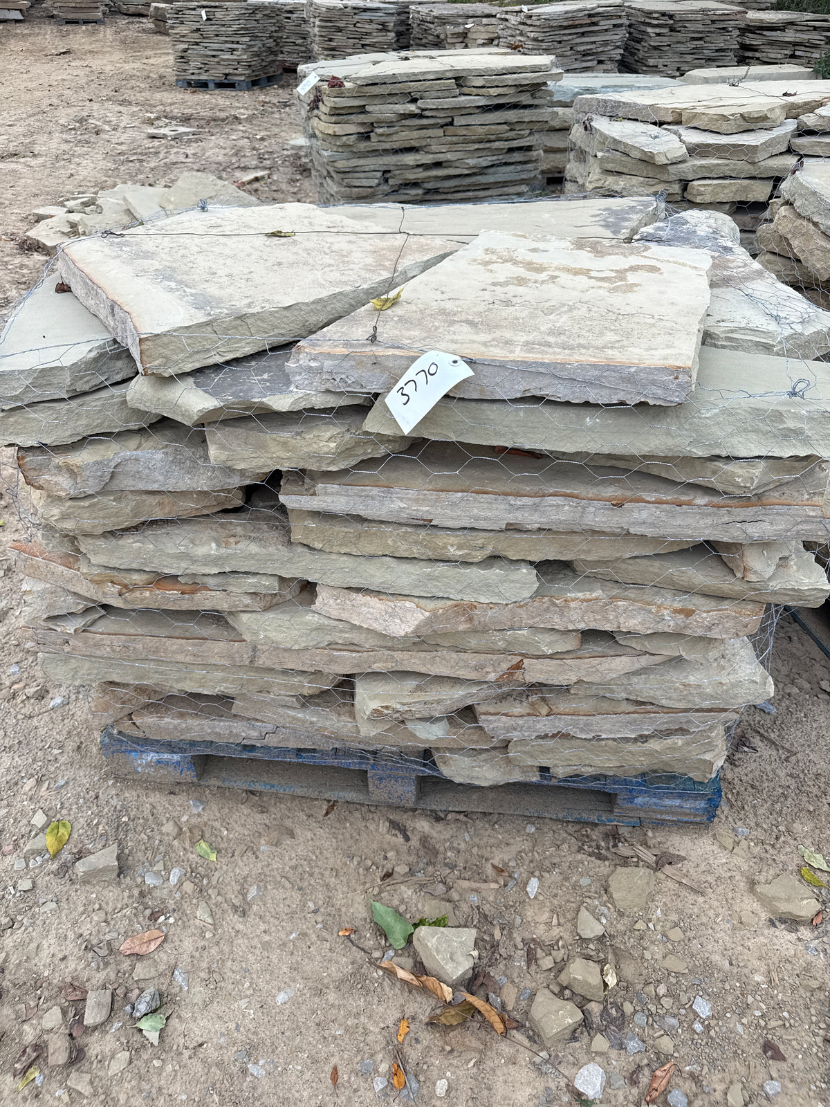 TN Buckskin Blend 2–3" Flagging ~3770 lb