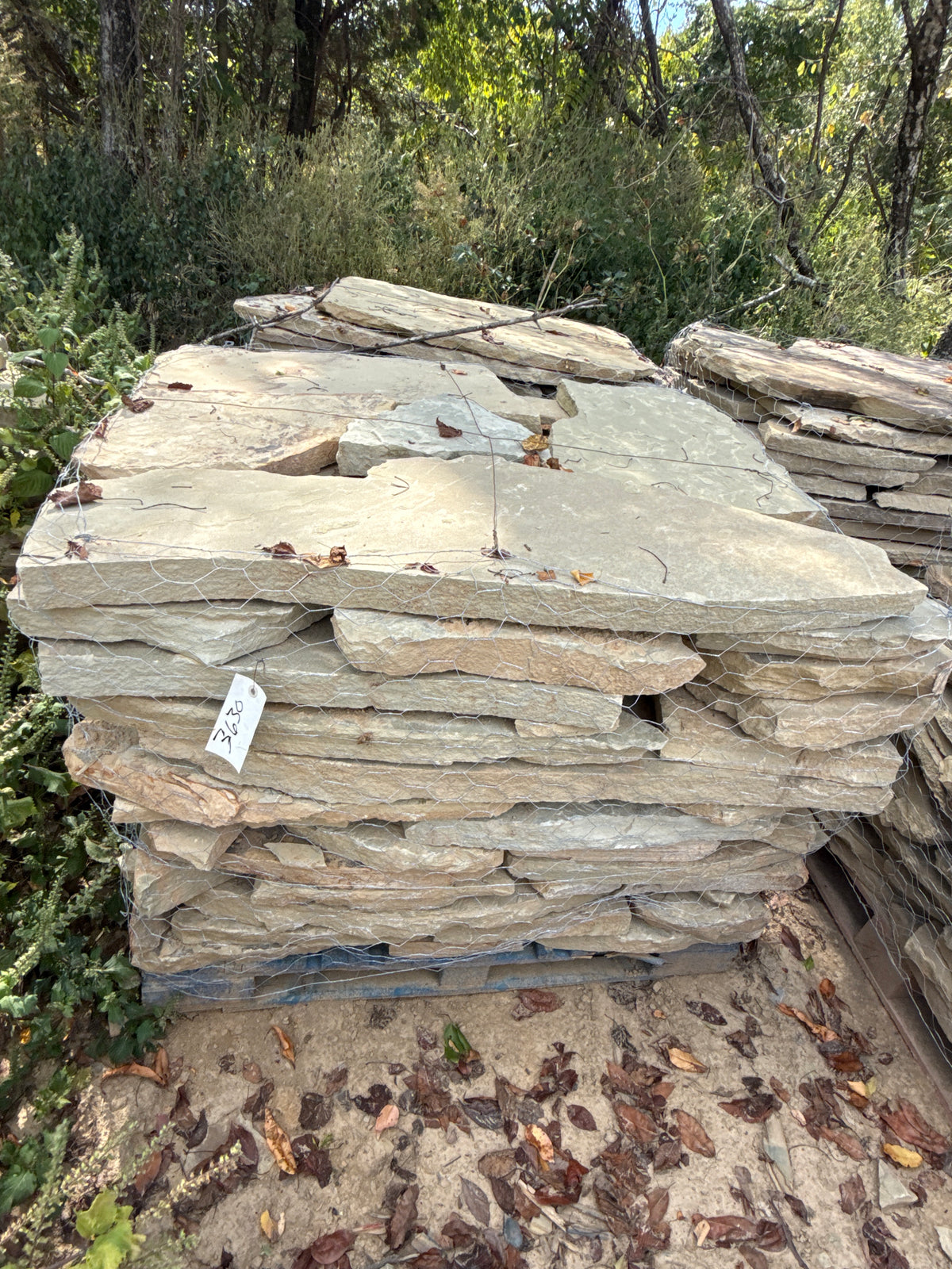 TN Buckskin Blend 2–3" Flagging ~3630 lb