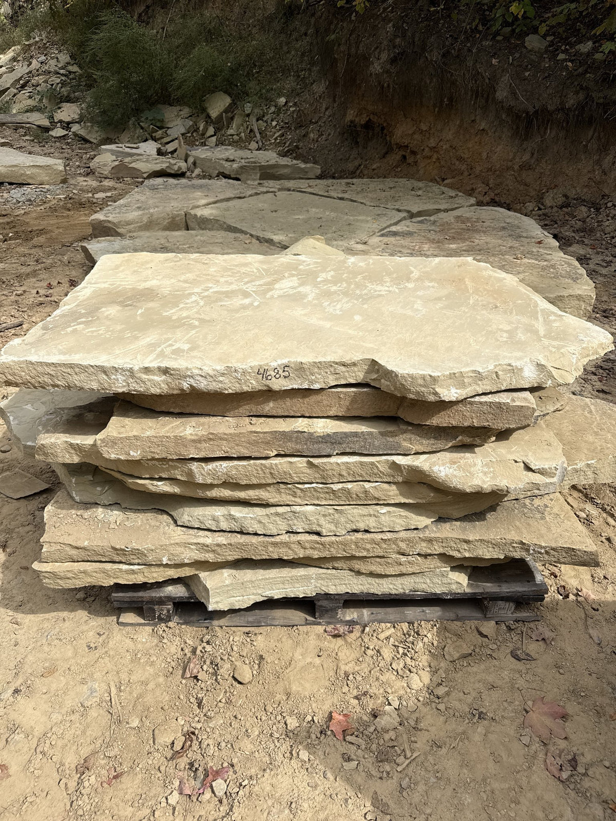Retailer TN Buckskin 2.5–3" Slabs ~4685 lb