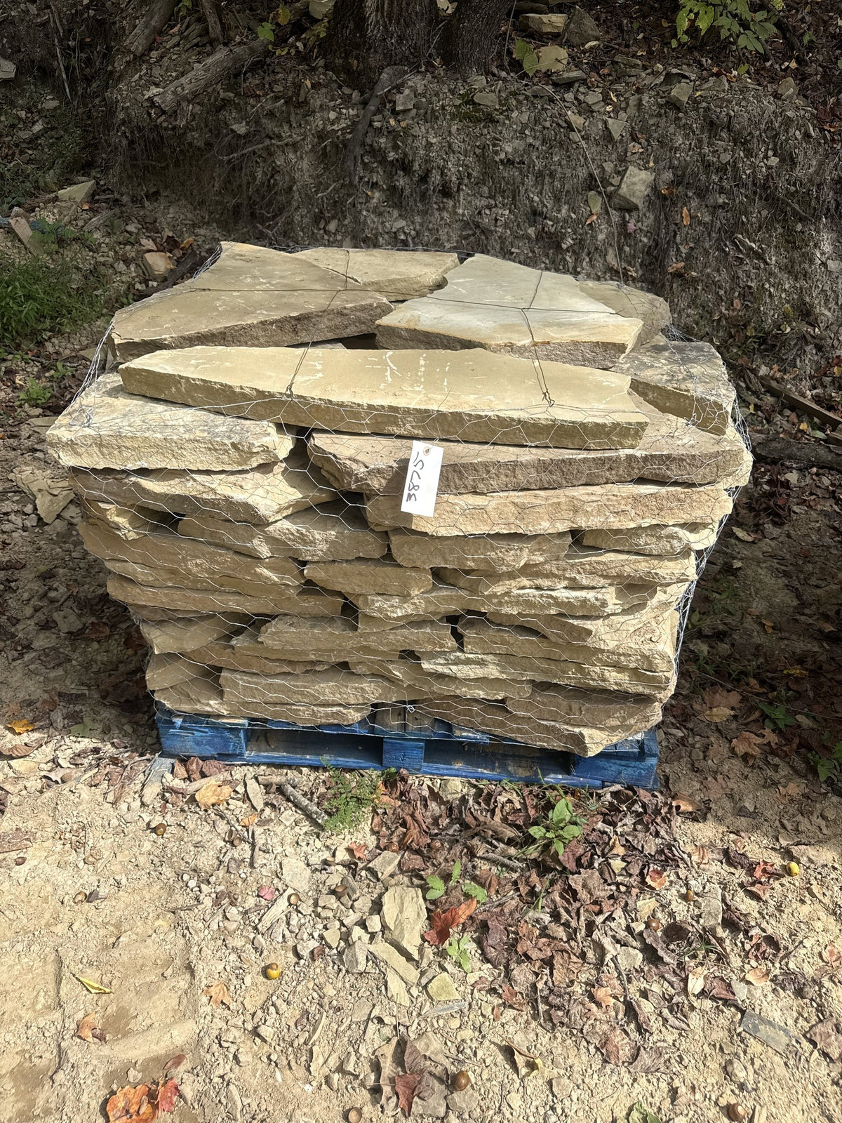 TN Buckskin 2–3" Flagging ~3875 lb