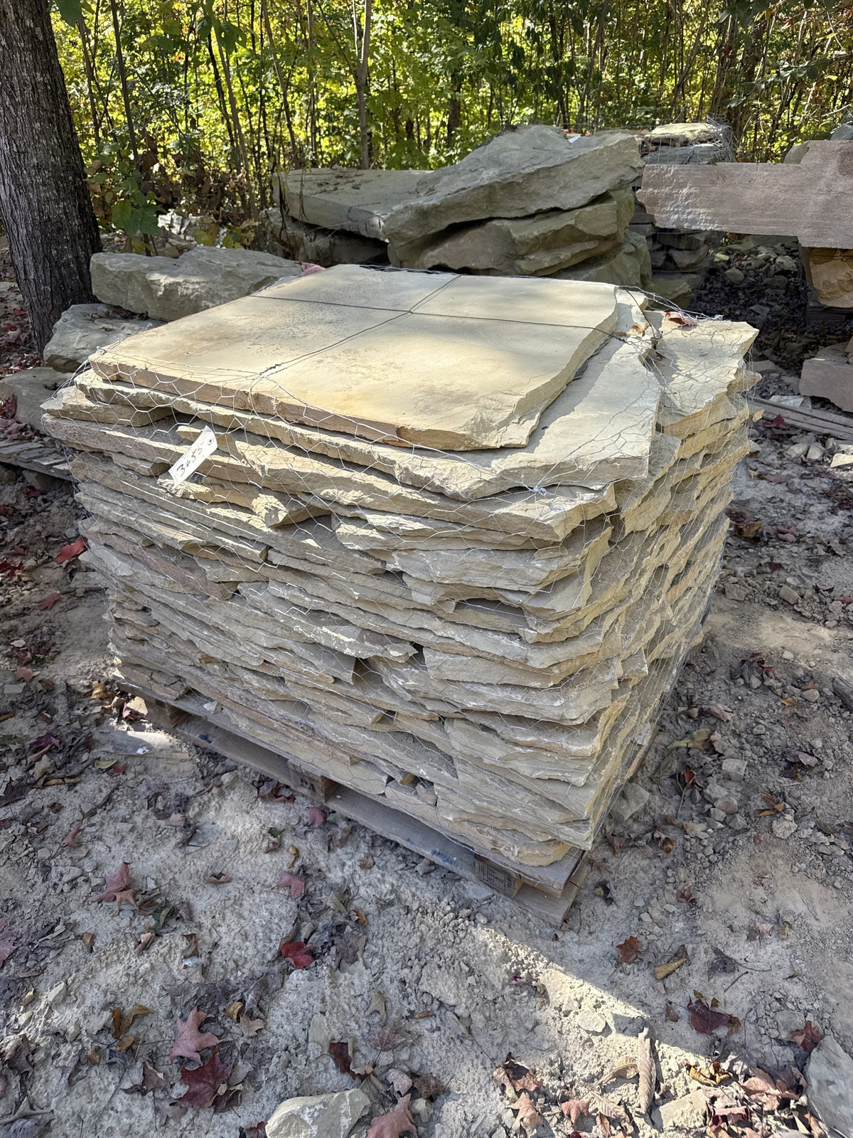 TN Buckskin 1–1.75" Flagging ~3655 lb