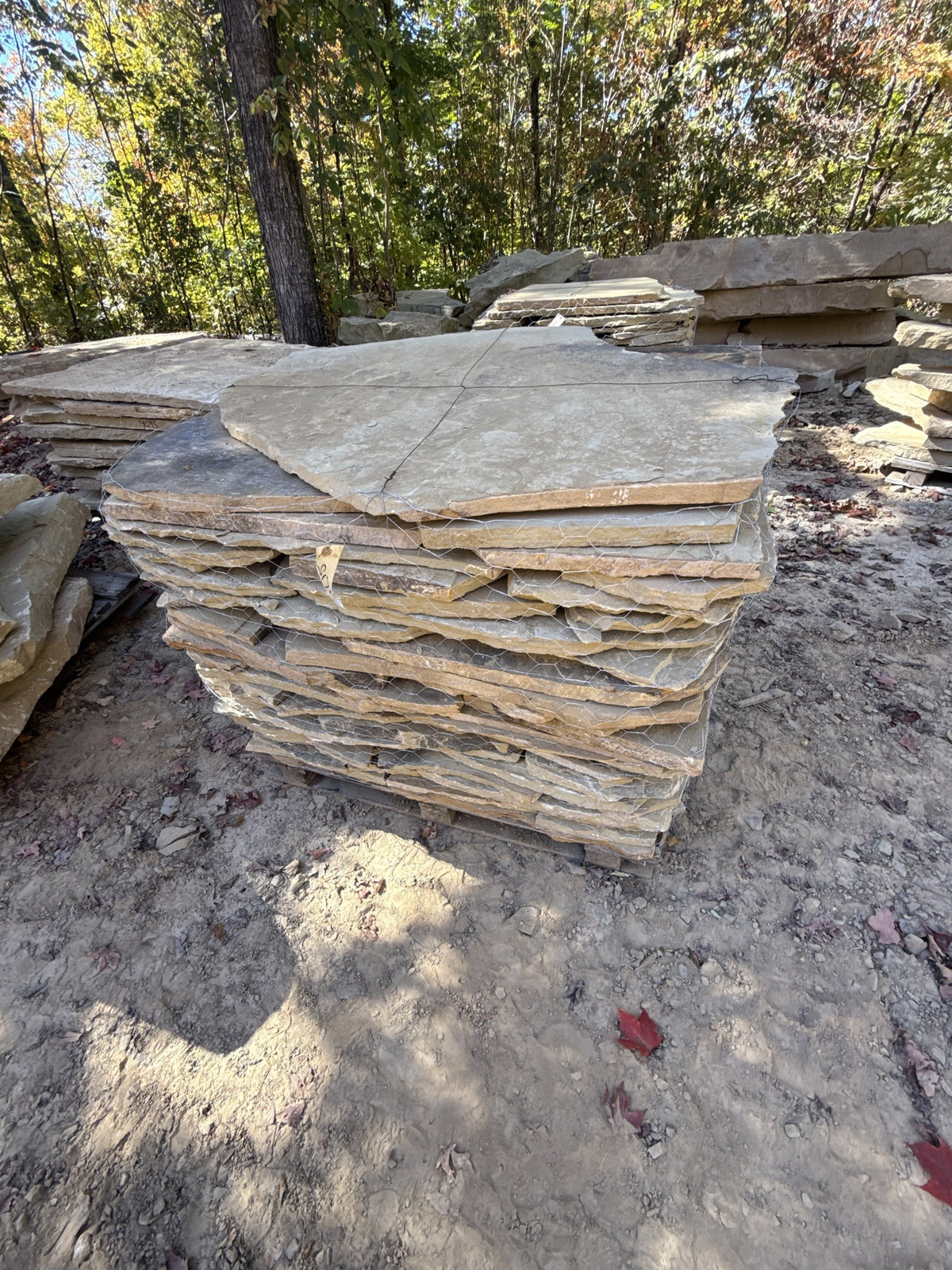 TN Buckskin 1–1.75" Flagging ~4000 lb