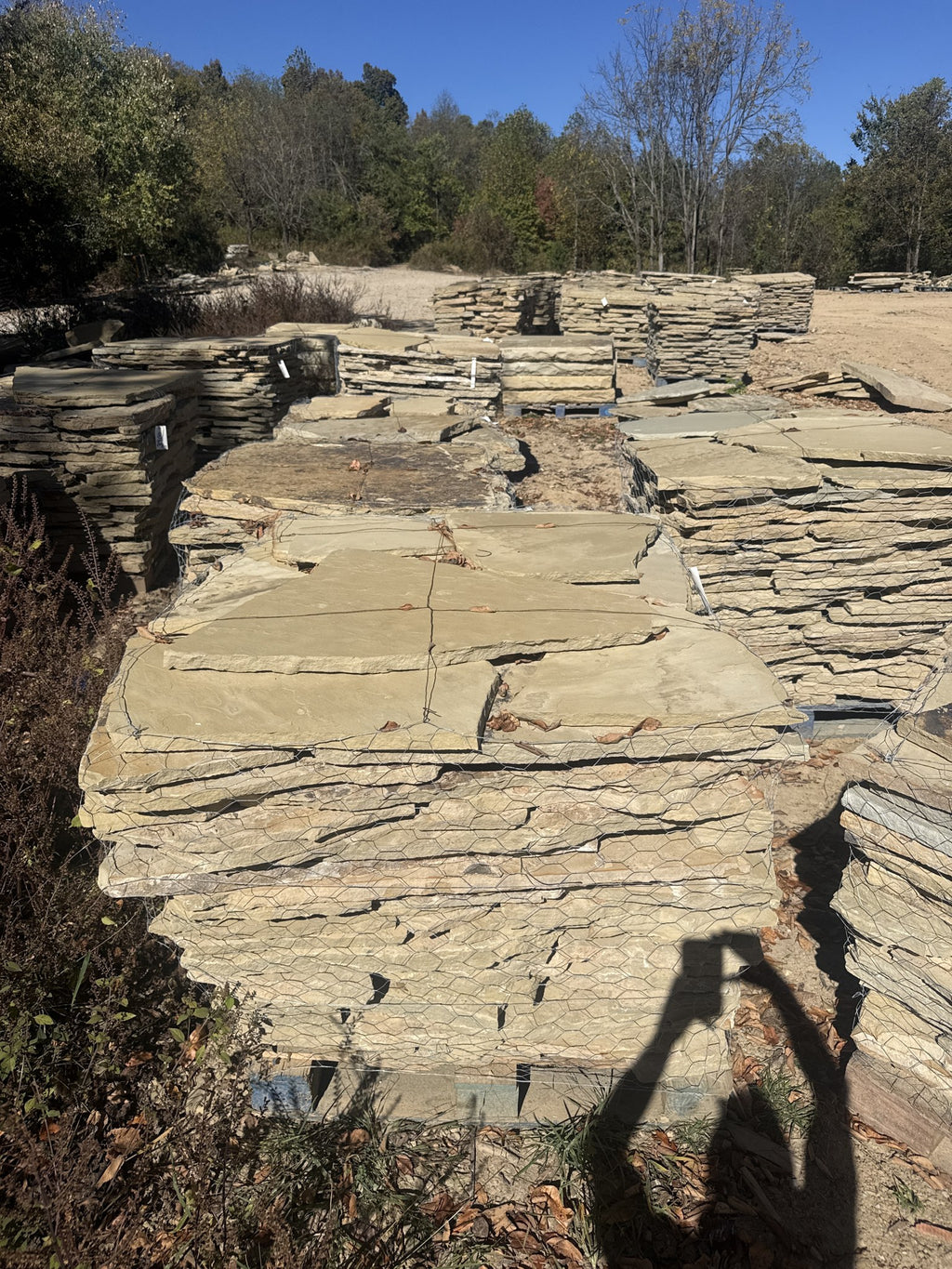 TN Buckskin 1–1.75 inch flagging pallet