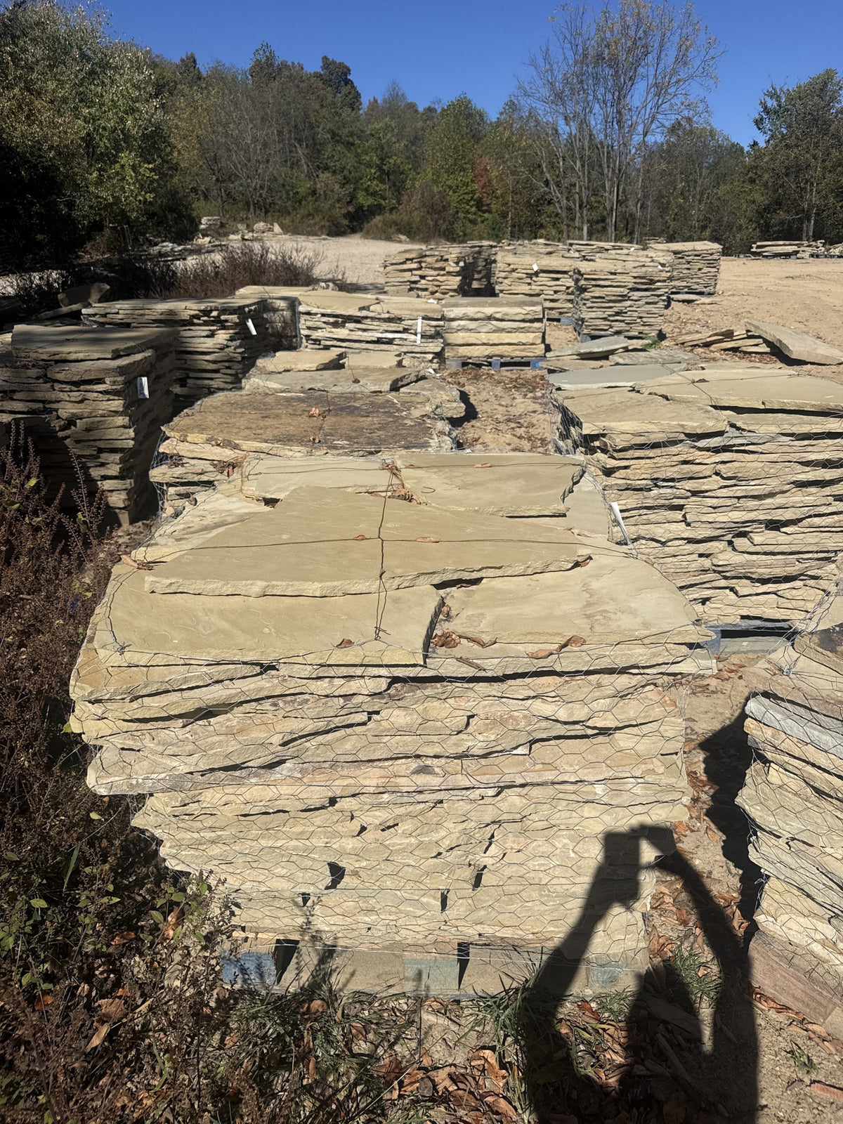 TN Buckskin 1–1.75 inch flagging pallet