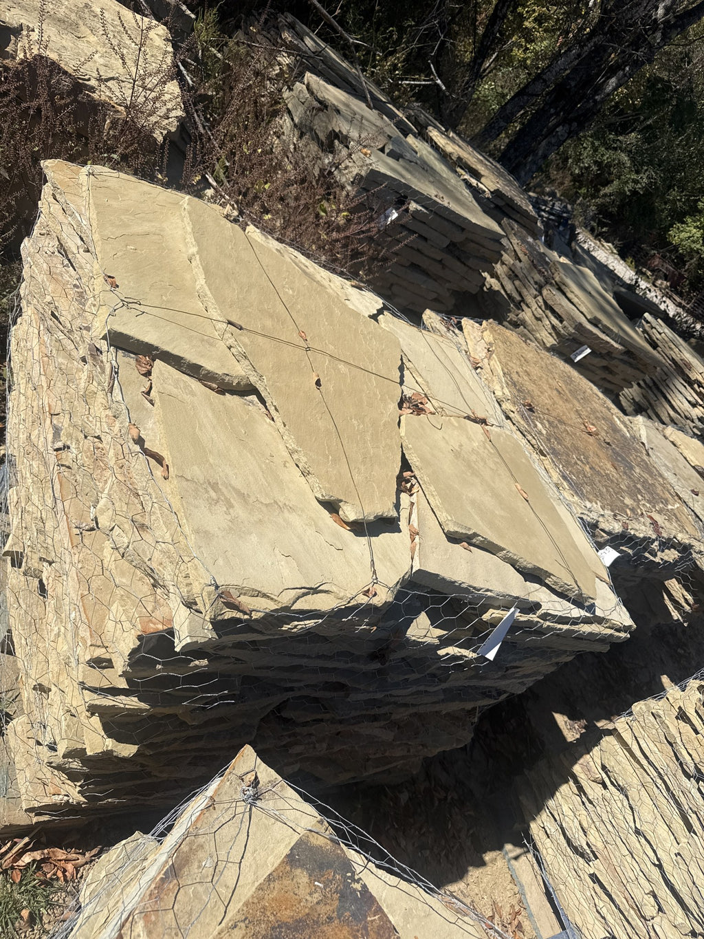 TN Buckskin 1–1.75 inch flagging pallet