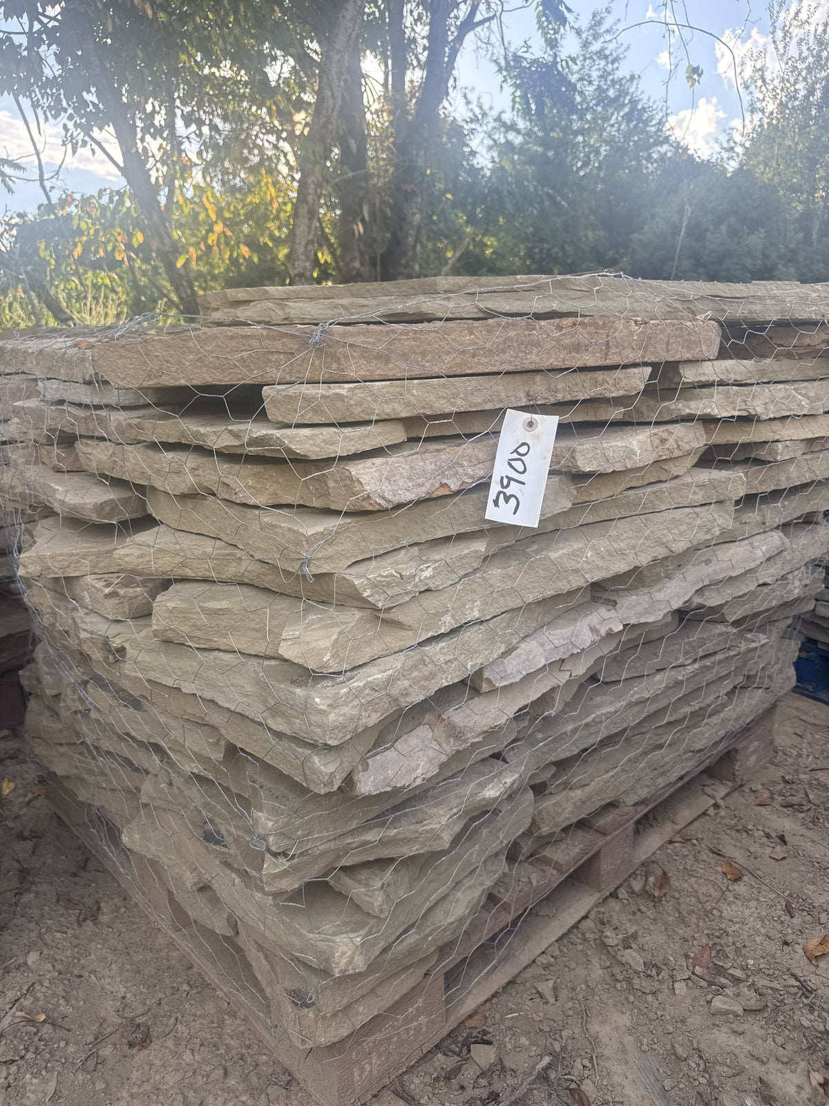 TN Buckskin Blend 2–3" Flagging