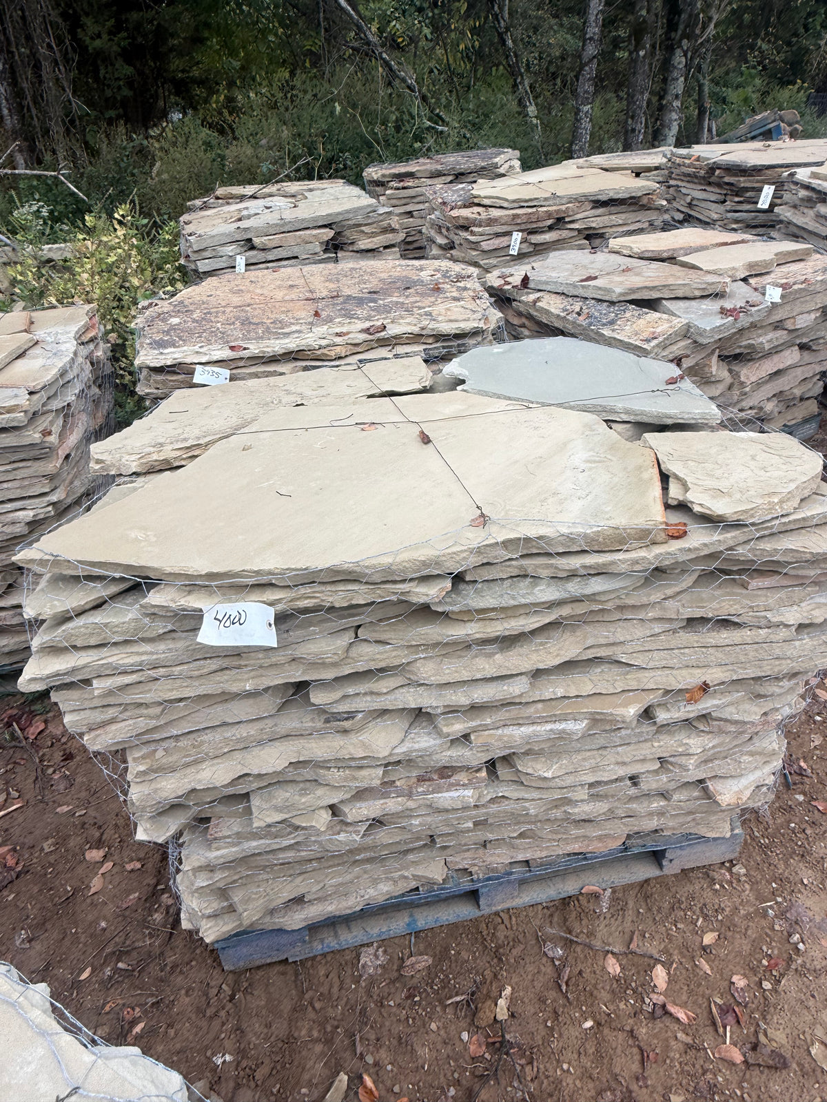 TN Buckskin Blend 1–1.75" Flagging ~4000 lb