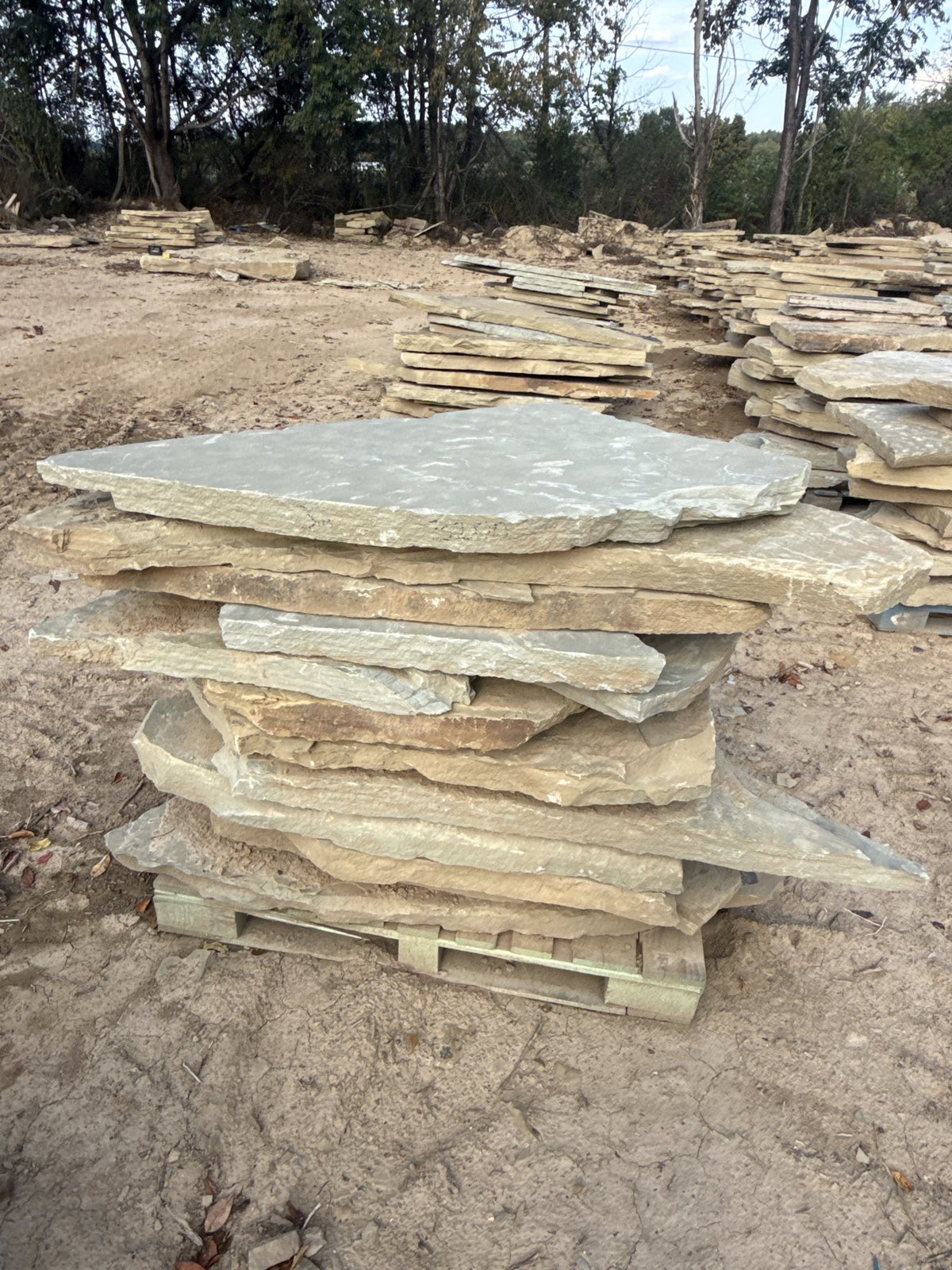 Retailer TN Buckskin 2.5–3" Slabs ~3200 lb