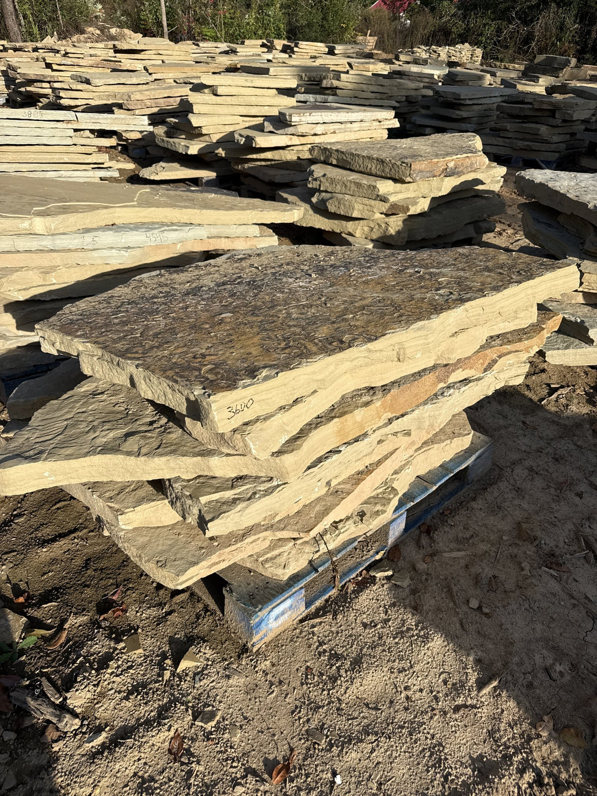 Retailer TN Buckskin 2.5–3" Slabs ~3600 lb