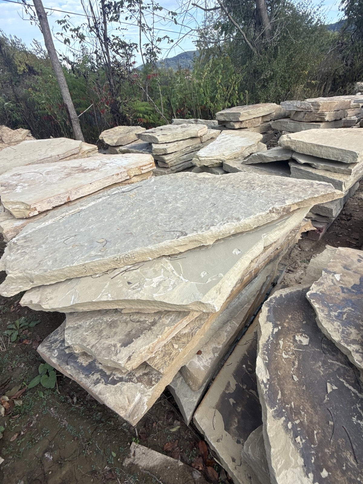 Retailer TN Buckskin 2.5–3" Slabs ~3985 lb