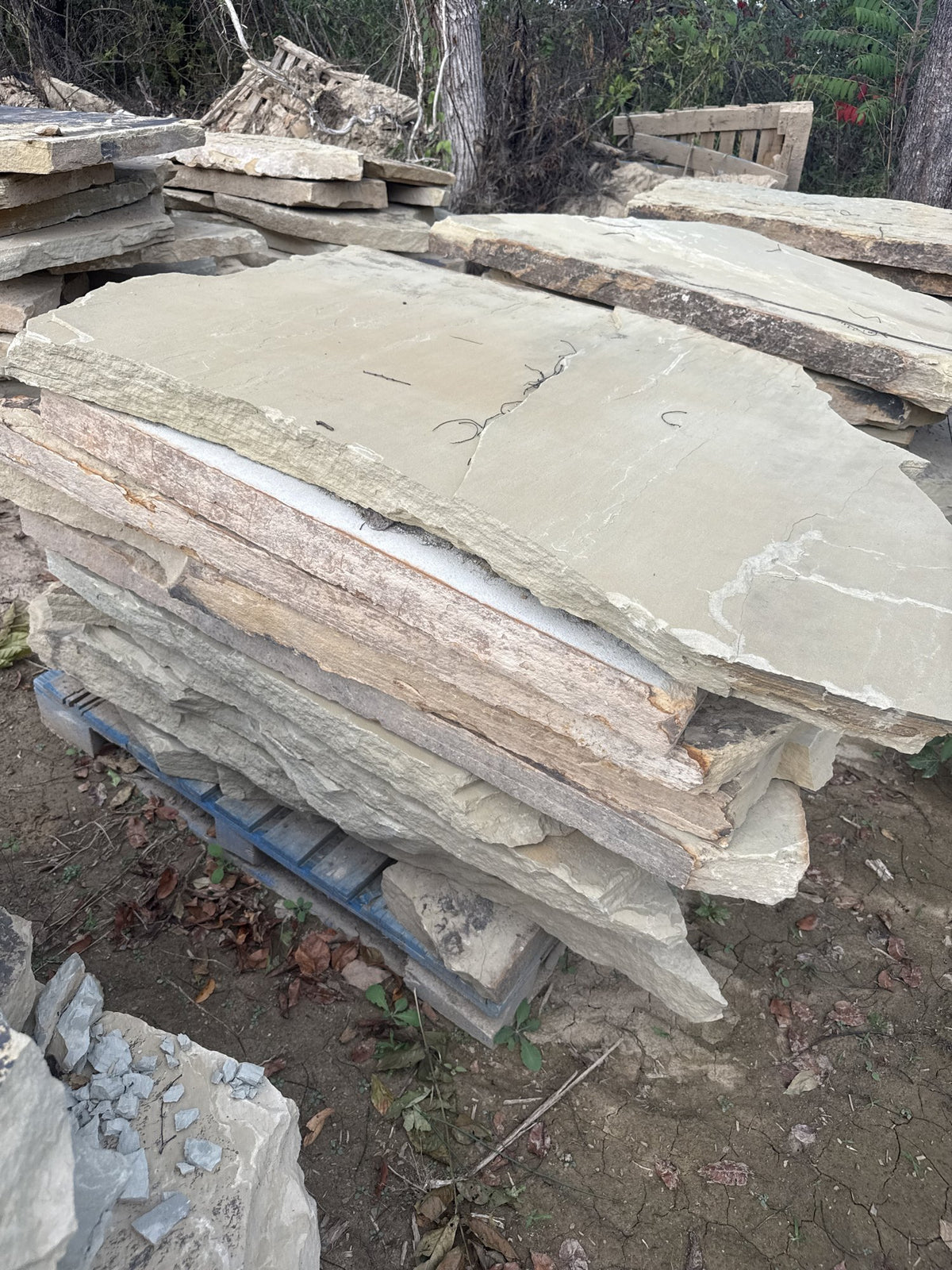 Retailer TN Buckskin 2.5–3" Slabs ~4000 lb