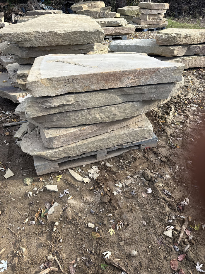 TN Buckskin Irregular Natural Steppers 4–8" ~3000 lb