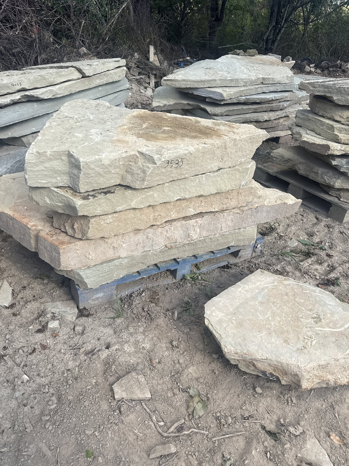 TN Buckskin Irregular Natural Steppers 4–8" ~3300 lb