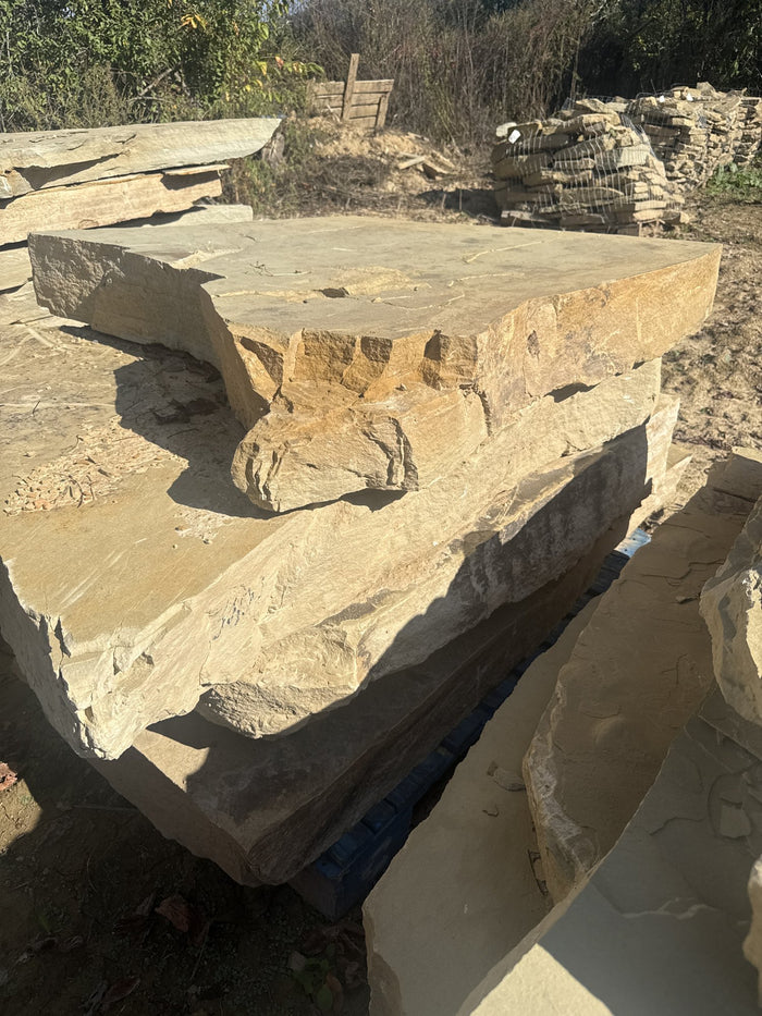 TN Buckskin Irregular Natural Steppers 4–8" ~3600 lb