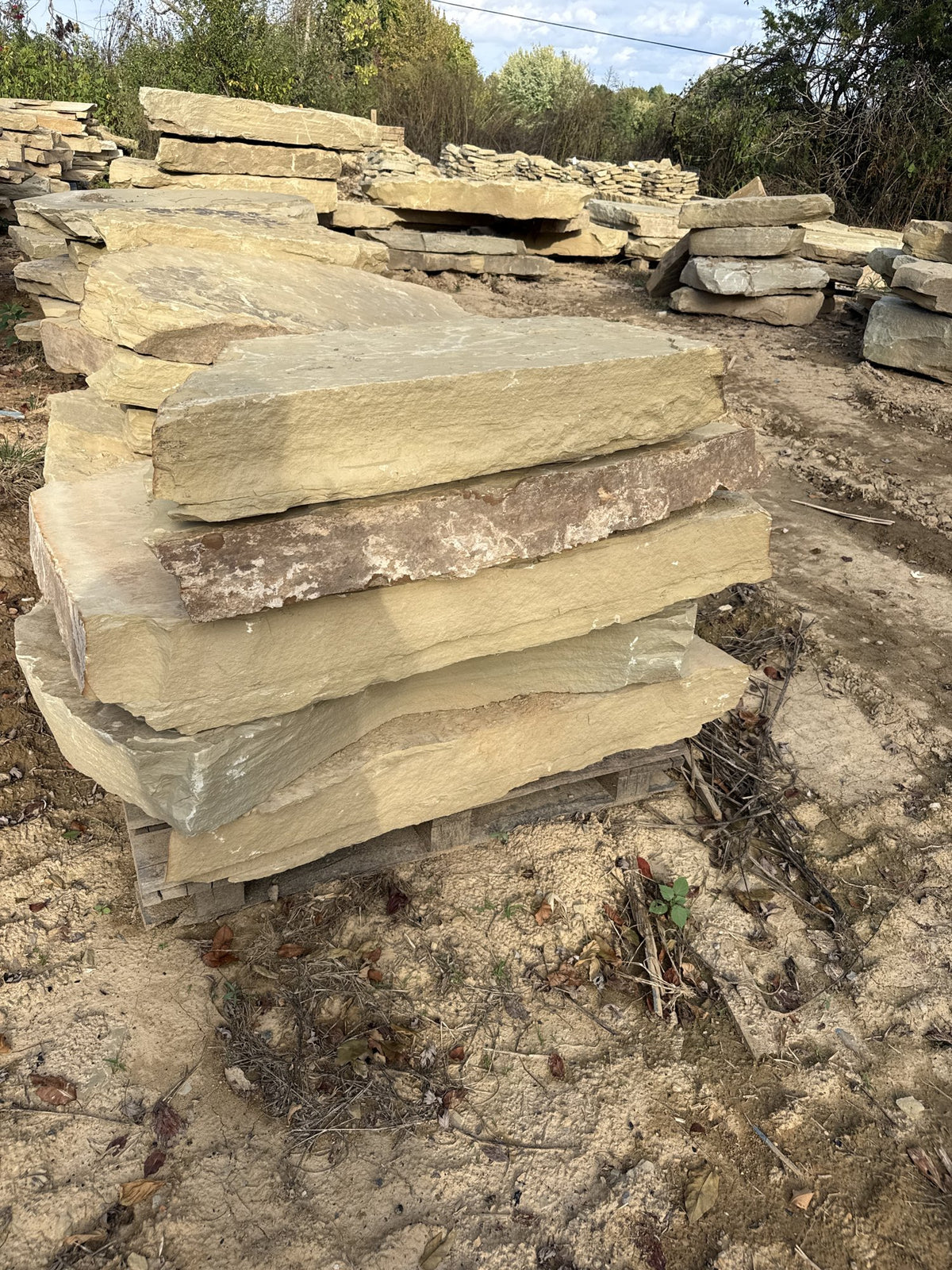 TN Buckskin Irregular Natural Steppers 4–8" ~4000 lb (Distributor)