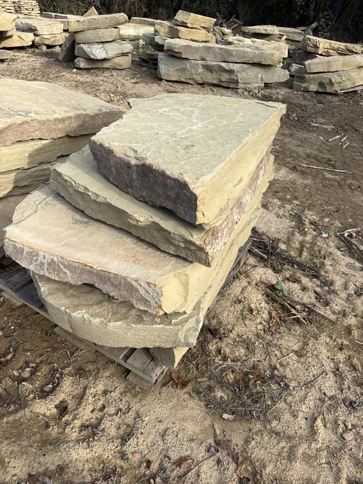 TN Buckskin Irregular Natural Steppers 4–8" ~4000 lb