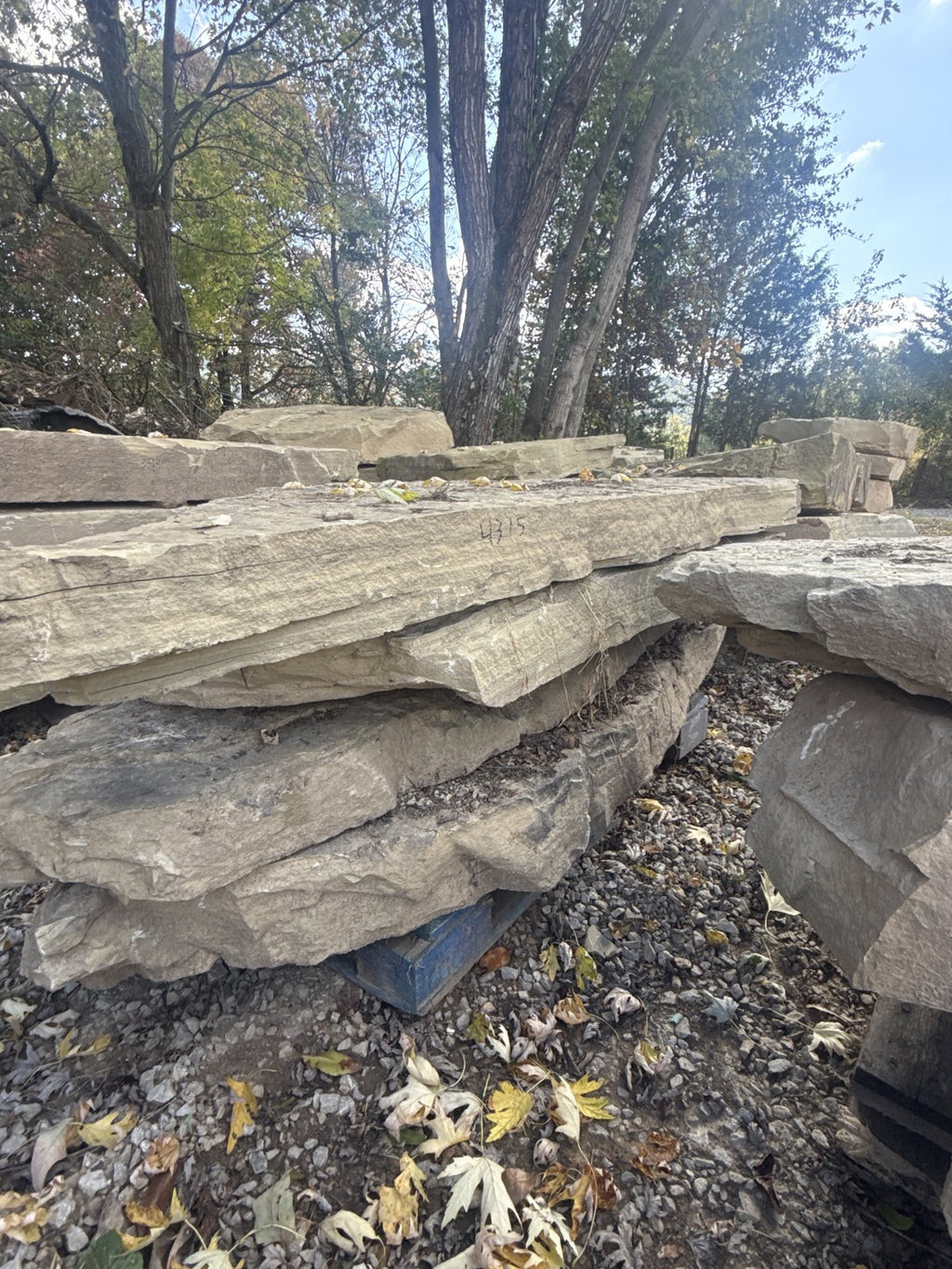 TN Buckskin Irregular Natural Steppers 4–8" ~4315 lb (Distributor)