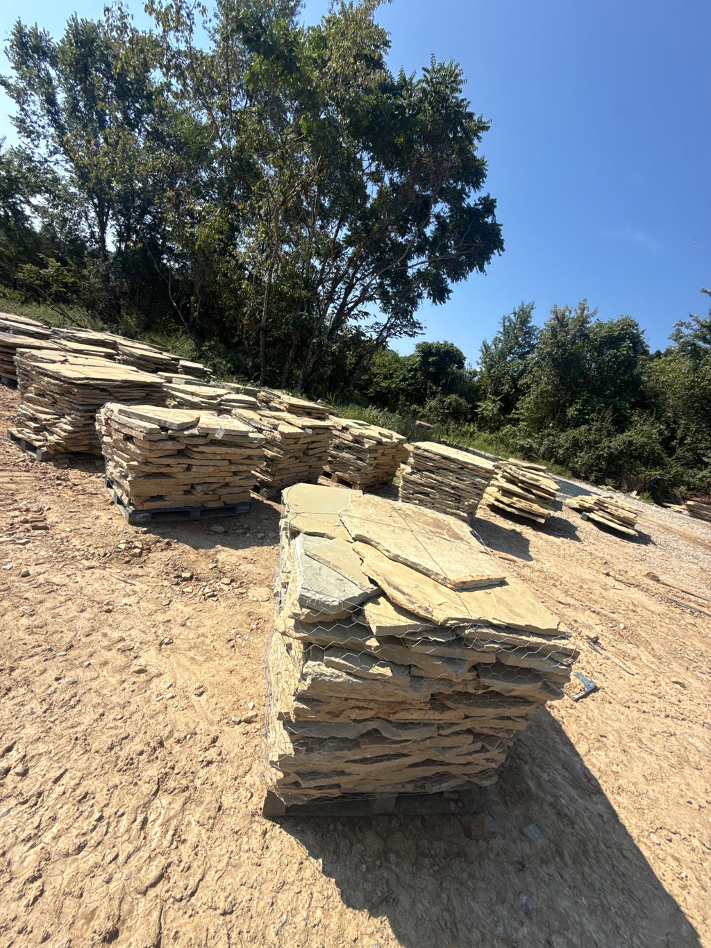 TN Buckskin Blend 2–2.5" Slabs