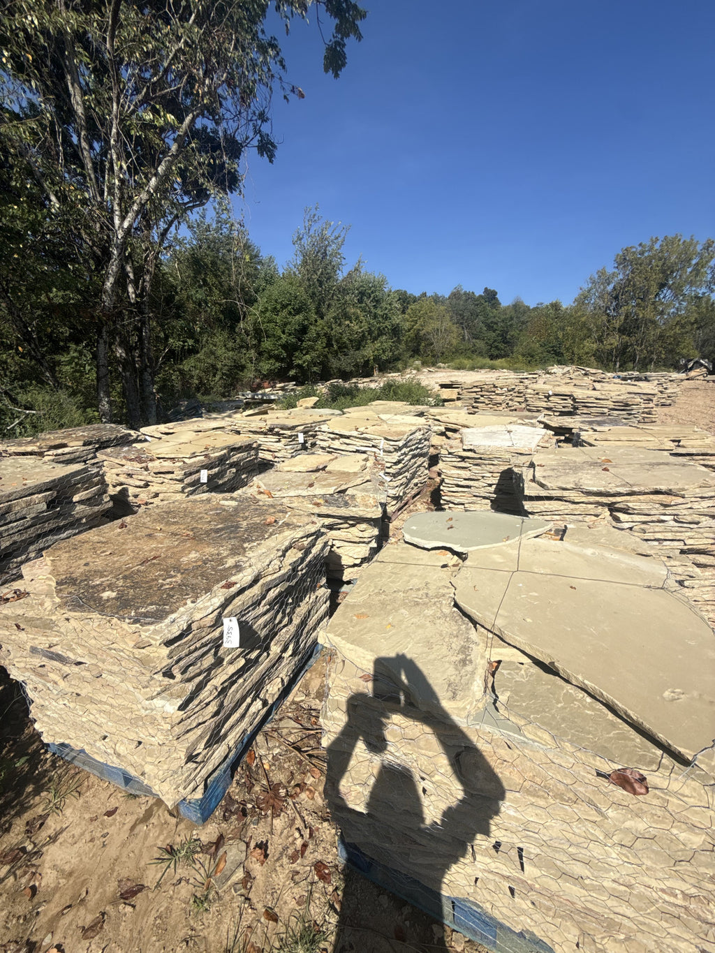 TN Buckskin Blend 2–2.5" Slabs